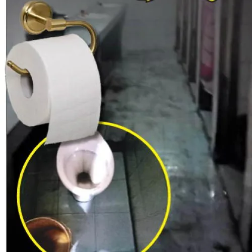 Menace of open defecation: Nigeria’s silent sanitation emergency