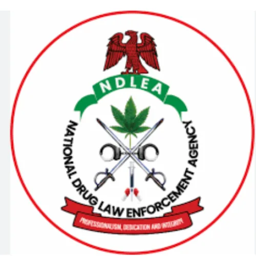 NDLEA arrests 49 suspects, seizes over 2.5 tonnes of illicit drugs in Edo