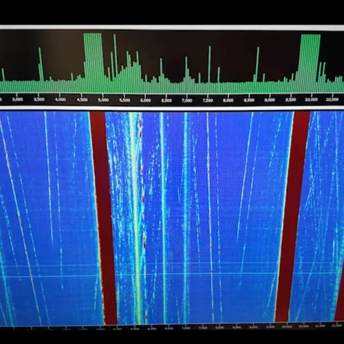 The Government’s Earthquake Warning System Has a 30% Accuracy Rate. Scientists Found Something Better