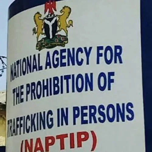 NAPTIP arrests 120 suspected human traffickers in Ondo