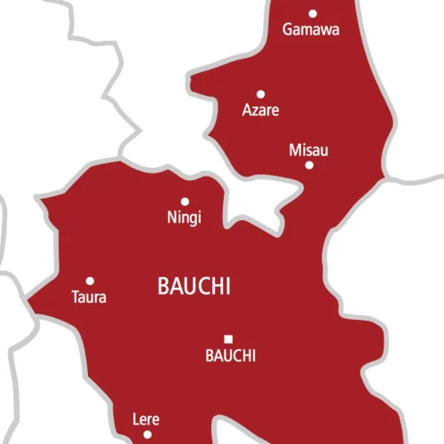 Bauchi: Housewife beaten to death over alleged witchcraft