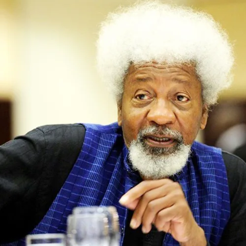 Soyinka, Chidoka, Others Demand End to Impunity, Urge Nigerians to Reclaim the State