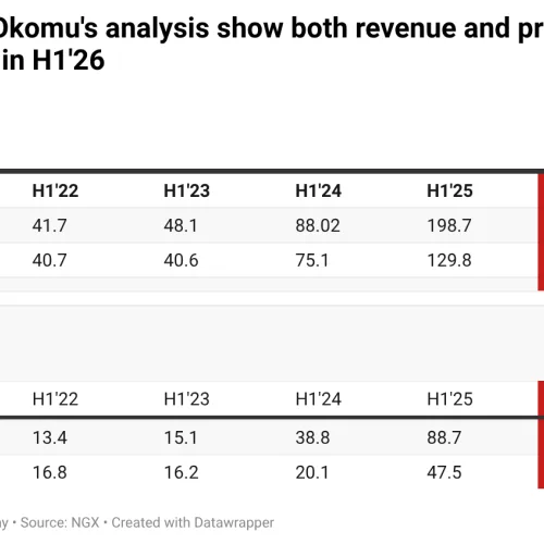 Nigeria’s top palm oil makers’ profits fall as cheaper imports bite