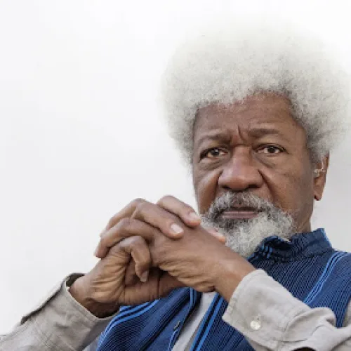 Woke Soyinka to Tinubu: Reopen Files on Unresolved Ass@ssinations as Promised