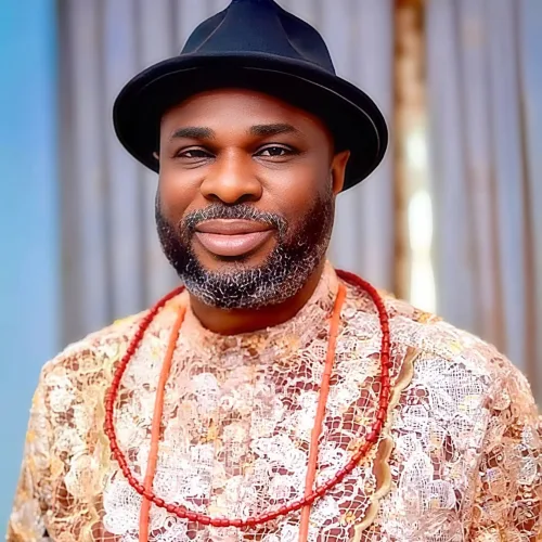 Joel-Onowakpo Hails INEC Over Move To Restore Suppressed Delta Constituencies