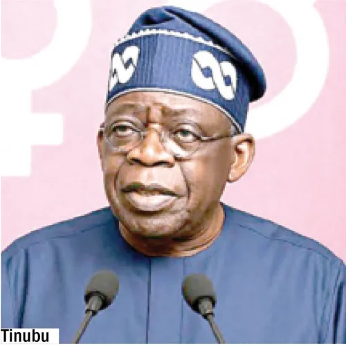 2027: Tinubu omits primary, secondary, lists varsity qualification as INEC publishes credentials