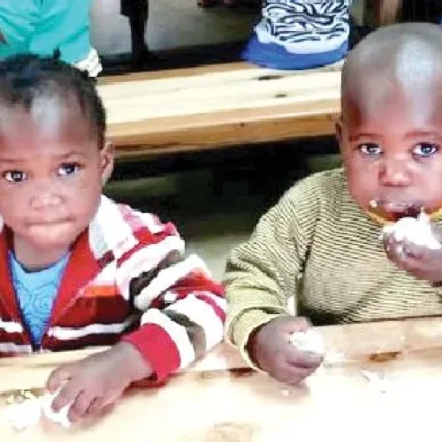 Stop spending on biscuits, buy eggs instead for your children — Nutritionists