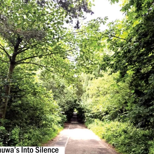 Joyce Aranuwa’s Nature’s Abundance series explores life’s duality