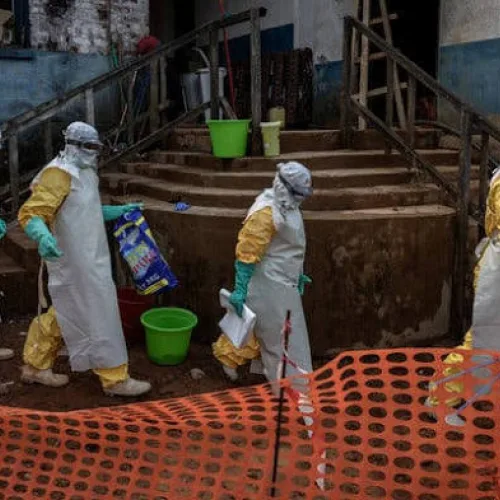 WHO reports largest Ebola outbreak in DR Congo