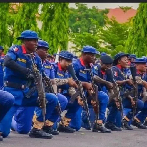 NSCDC arrests man for vandalising forest fence in Jigawa