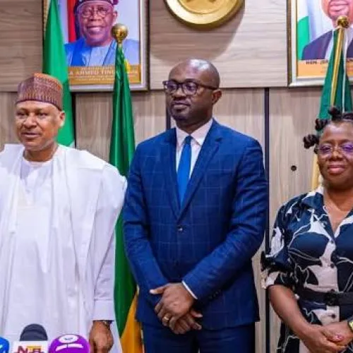 HURIWA tells Tinubu, not to allow terrorists to govern Nigeria’s forests