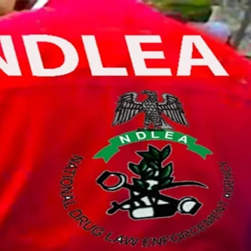 NDLEA intercepts China, Italy-bound cocaine in Lagos