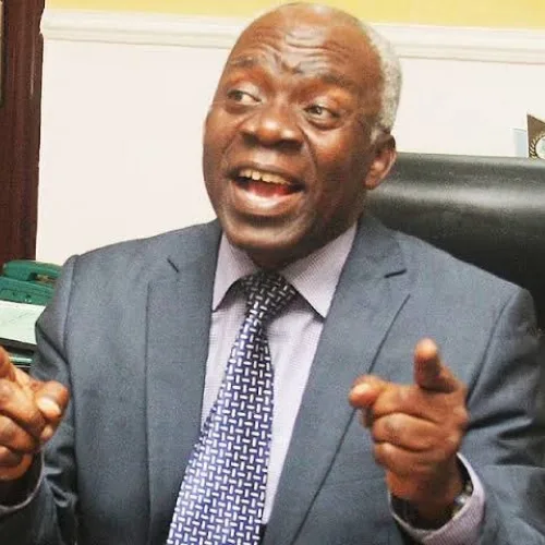 Falana Urges Nigeria to Sanction South African Firms Over Xenophobic Attacks