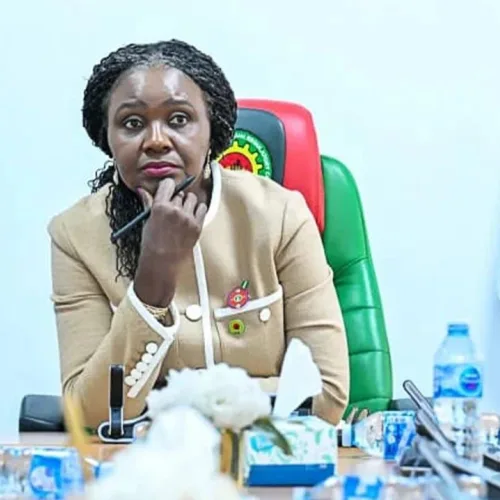 Putting Nigeria’s 2025 Licensing Round Transparency To Test