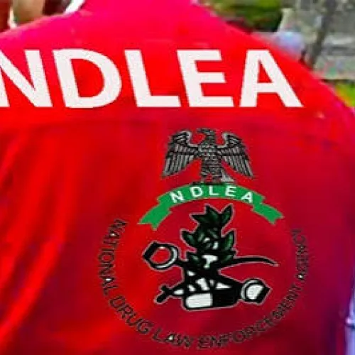 NDLEA intercepts China, Italy-bound cocaine in Lagos, nabs bandits’ supplier in Zamfara