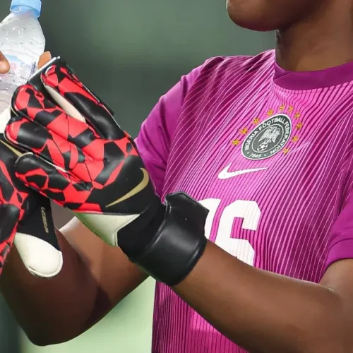 We will make Nigerians proud – Nnadozie