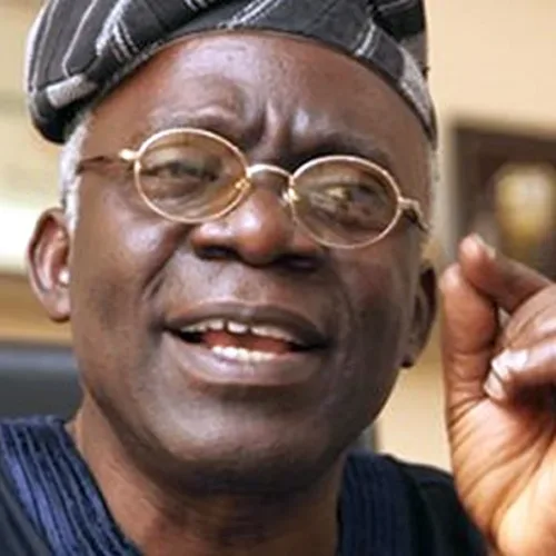 Xenophobia: Falana urges action against S’African firms in Nigeria