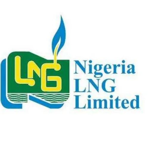 NLNG: Nigeria Risks Losing Global Gas Relevance as Market Share Slips to 5%