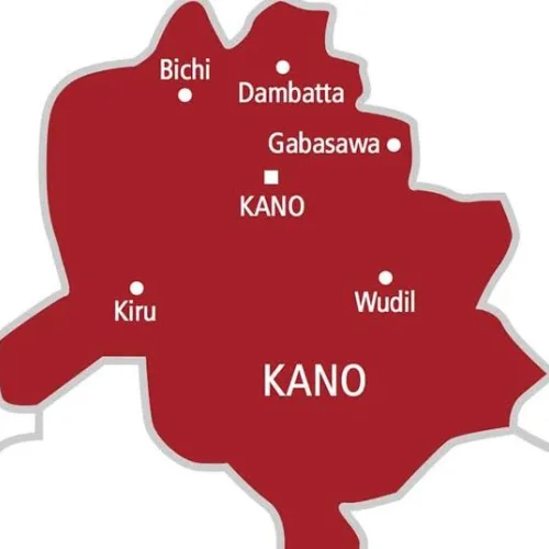 Kano board shuts herbal shop over ‘indecent’ advertisements
