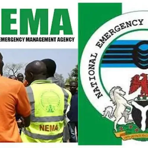 37 Nigerians repatriated from Türkiye arrive Abuja