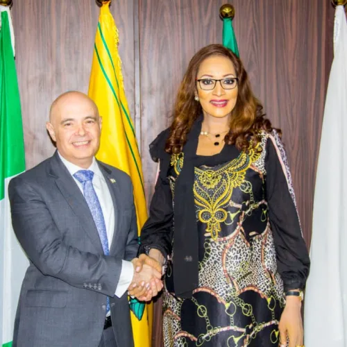 FG seeks Israeli expertise to strengthen border security, combat cross-border crimes