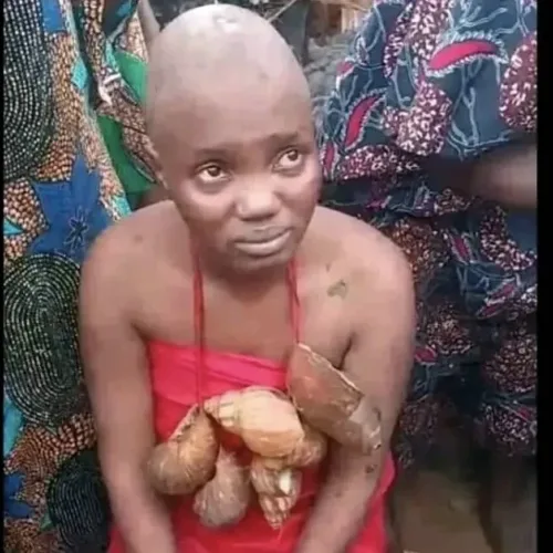 Oloolu festival: Female TikToker was abused – Sowore