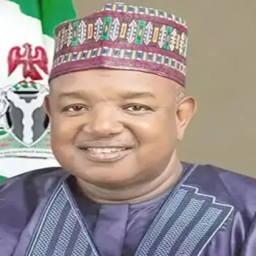 Bagudu advocates private sector investment to advance food system transformation