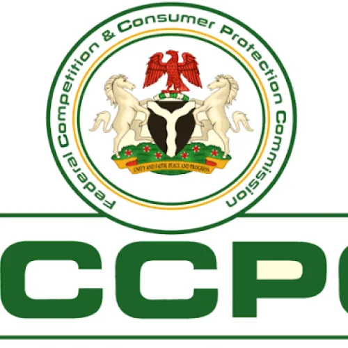 FCCPC seeks united regulatory front to protect electricity consumers