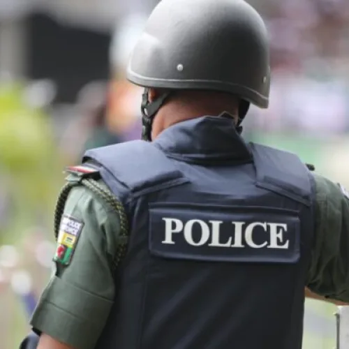 Borno Police arrest five over unwholesome meat supply ring
