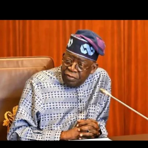 Tinubu yet to dictate contents of National Policing Bill – Moghalu