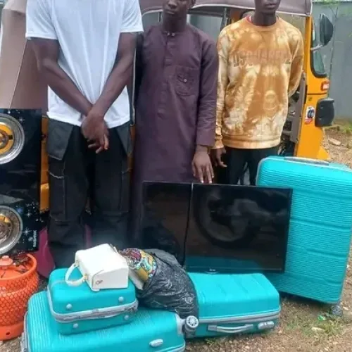 Police arrest five over burglary, cannabis possession in Bauchi