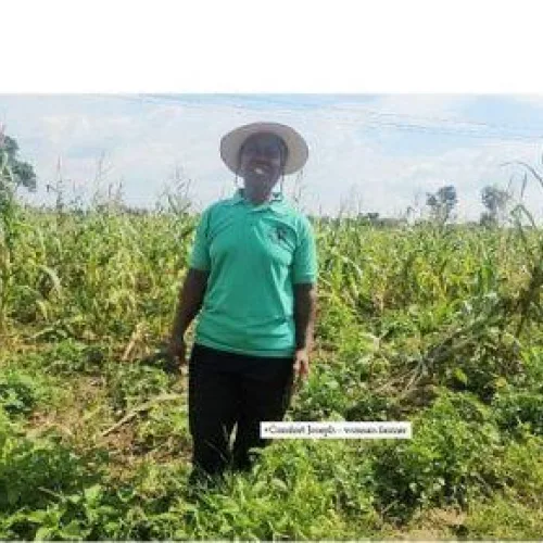 Farmers turn to insurance to protect investments against production risks