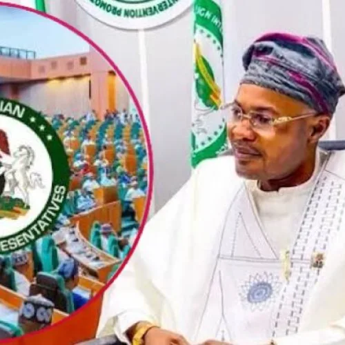 PFIPC probe: Businessman tells Reps how he  paid Adeyemi N400m for contract