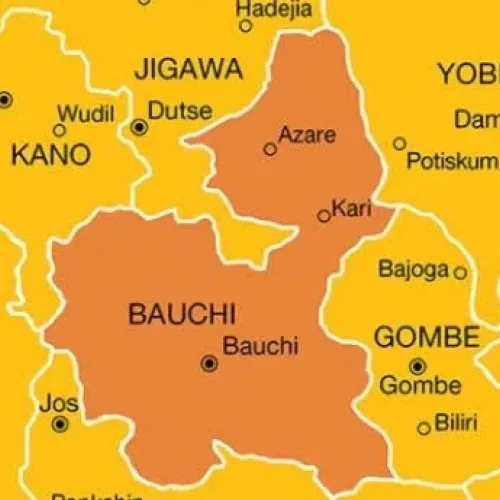 Nine killed, eight injured in Bauchi highway crash