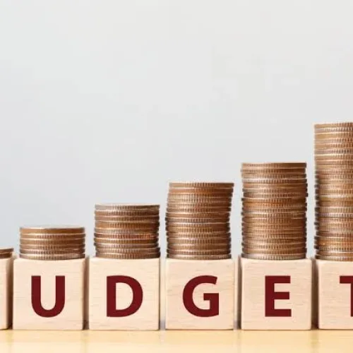 Nigeria must stop misplaced budgetary allocations