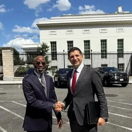 Alake leads delegation to White House on critical minerals