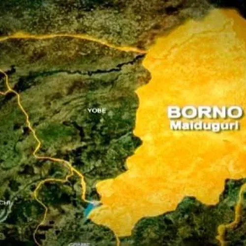 Five arrested for selling meat from dead cattle in Borno