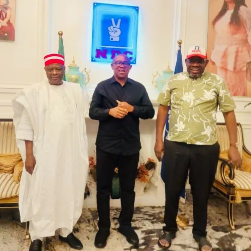 Obi, Kwankwaso Meet NDC National Leader, Dickson In Abuja