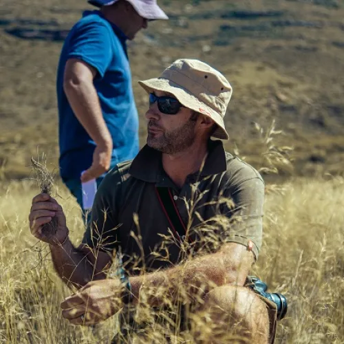 South African farmers receive first carbon revenues from grassland restoration project