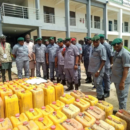Customs seizes N362m contraband, illegal wildlife parts in Adamawa
