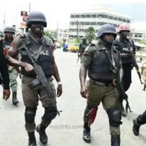 15,000 personnel to be deployed for Osun poll -CP election