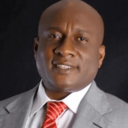 We recorded 56 bird strikes in one year – Air Peace chairman 