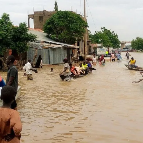 Flood: Adamawa agency seeks govt support as houses submerge in Yola