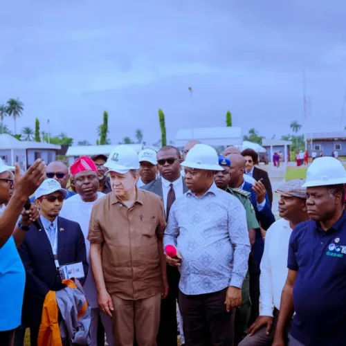 Brazil, Malaysia, US investors eye Delta agriculture, energy projects