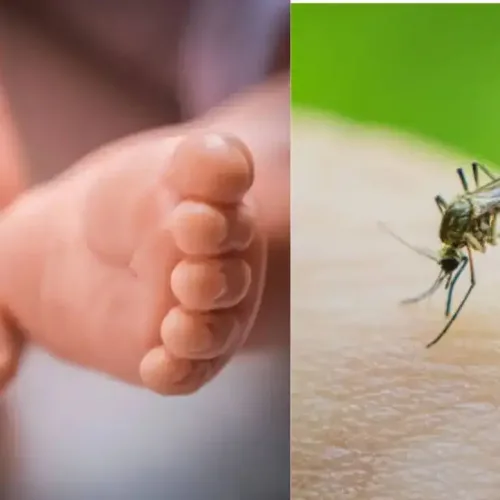 Malaria still affecting newborns in Nigeria — Study