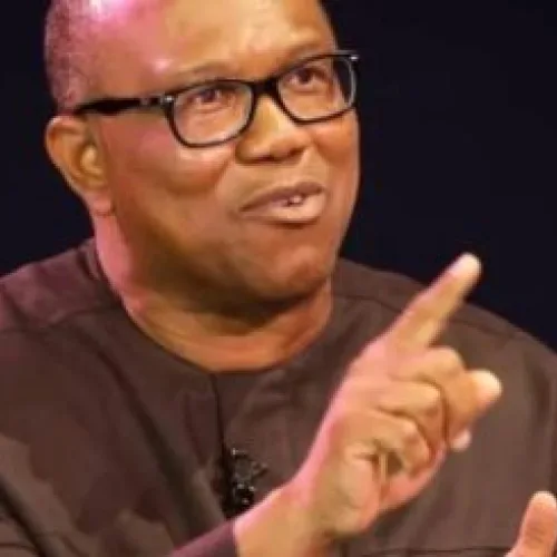 Expert hails Gov Oberevwori for over $100m earmarked to derisk investment