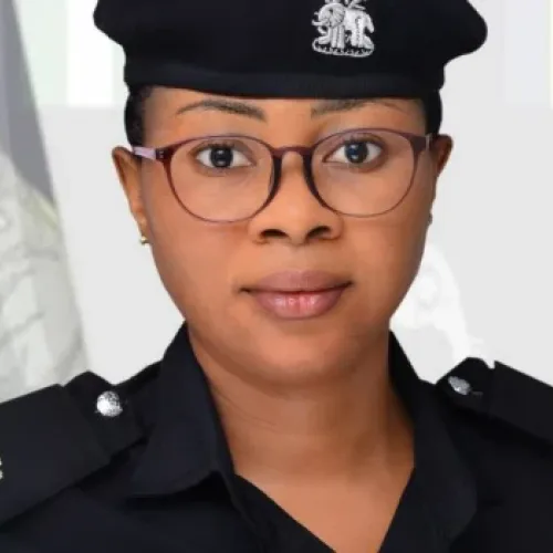 Police uncover bandits’ hideout, seize rifles, ammunition