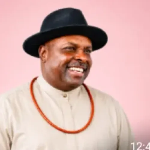 Federalism: NIIA boss advocates power rebalance in Nigeria