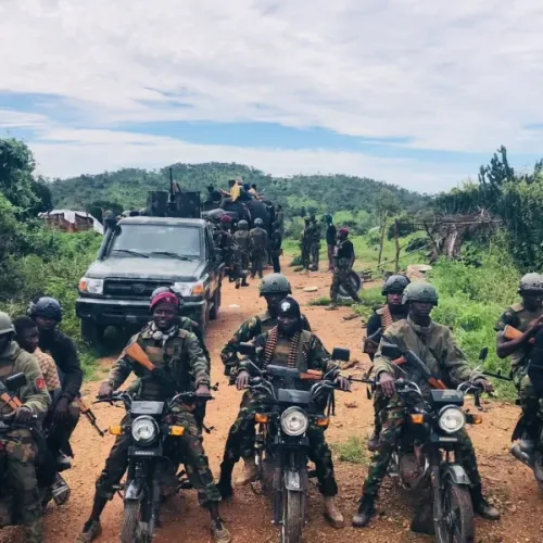 Inside the operation that freed 308 kidnap victims from Kainji forest