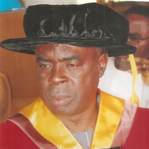 All is fair in politics’ comment not new to Nigeria’s political history — Prof. Opata